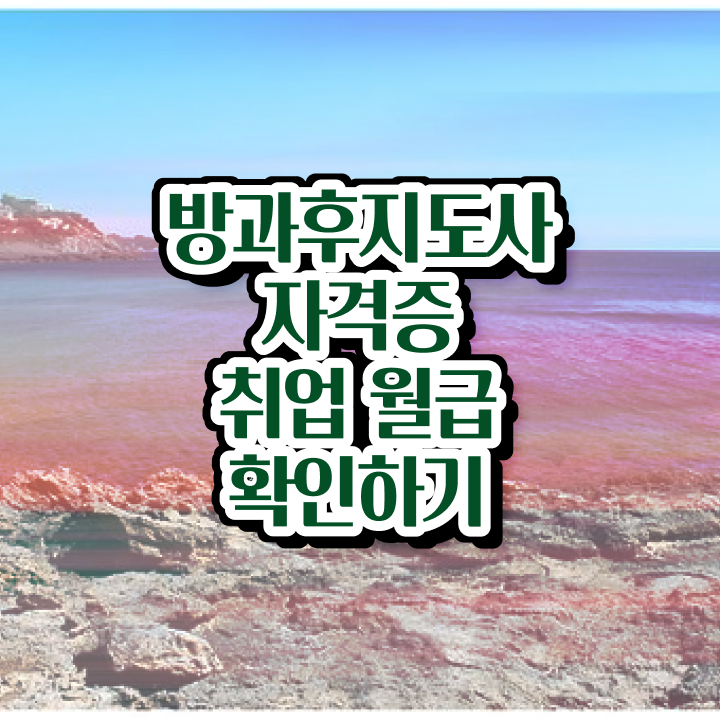  초등학교 방과후 교사 , 방과후지도사자격증 합격 전략 및 현황과 채용정보