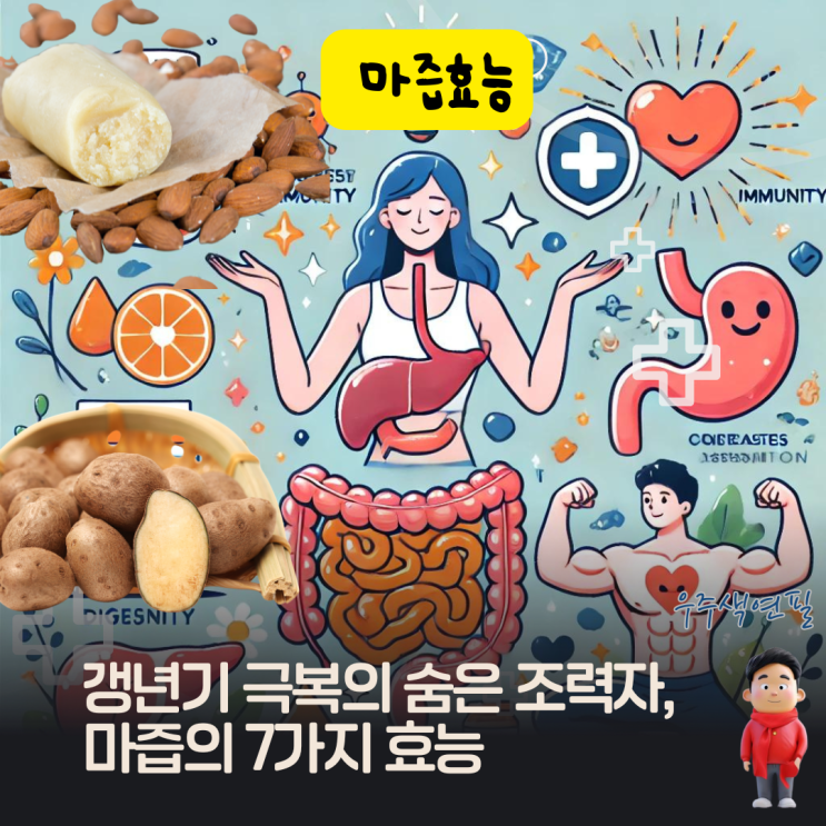  갱년기 극복의 숨은 조력자, 마즙의 7가지 효능