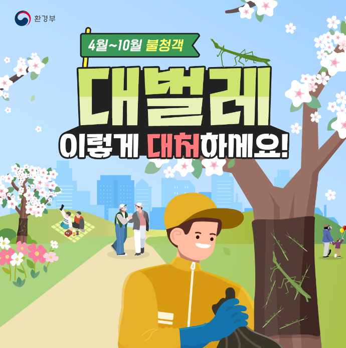  불청객해충 - 대벌레 이렇게 대처하세요!
