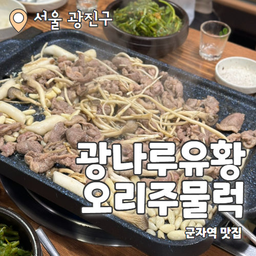  광나루유황오리주물럭 : 몸보신하기 딱 좋은 군자역 오리주물럭맛집 내돈내산 후기