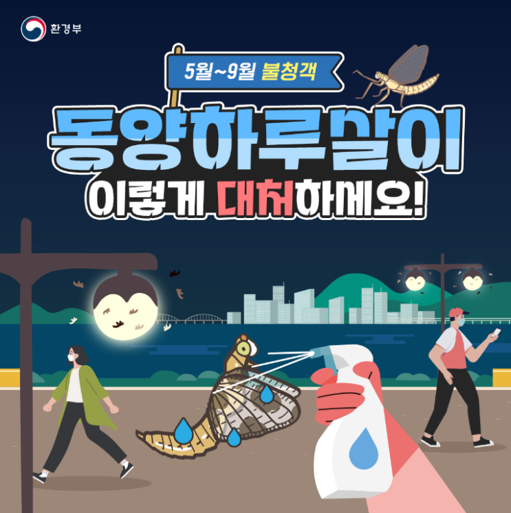  불청객해충 - 동양하루살이 이렇게 대처하세요!
