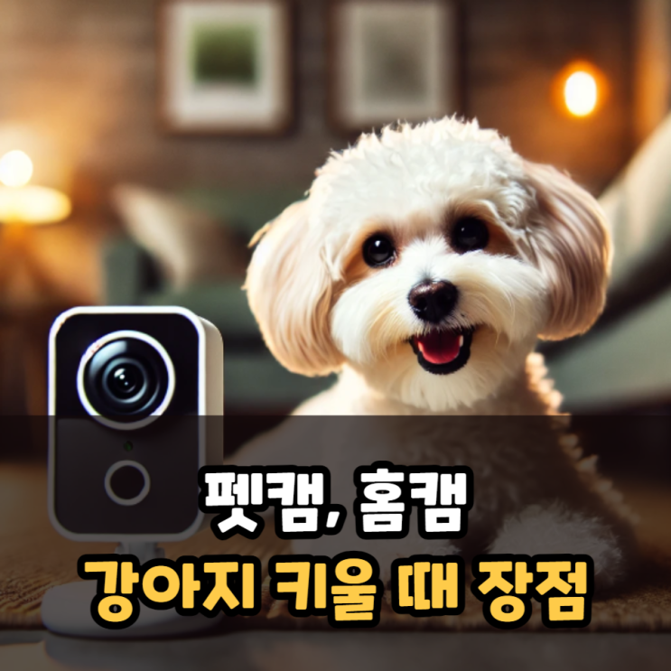  펫캠 강아지 키울 때 장점은?