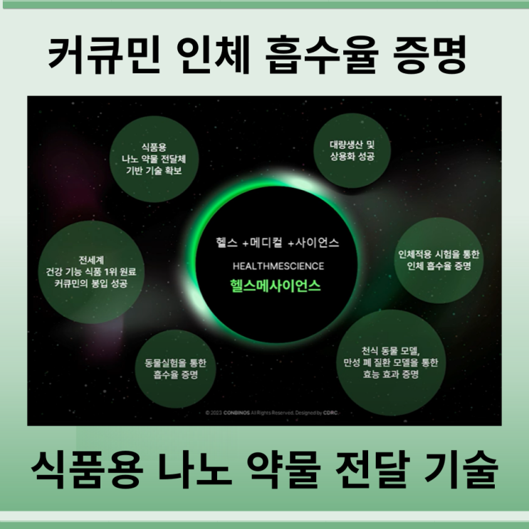  커큐민 인체 흡수율 증명