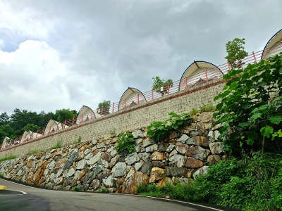 사진 10