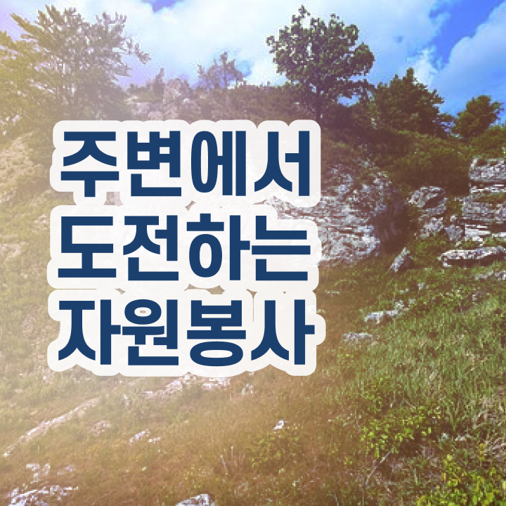  자원봉사지도사자격증 , 자원봉사지도사 자격증 취득한 과정 전격분석