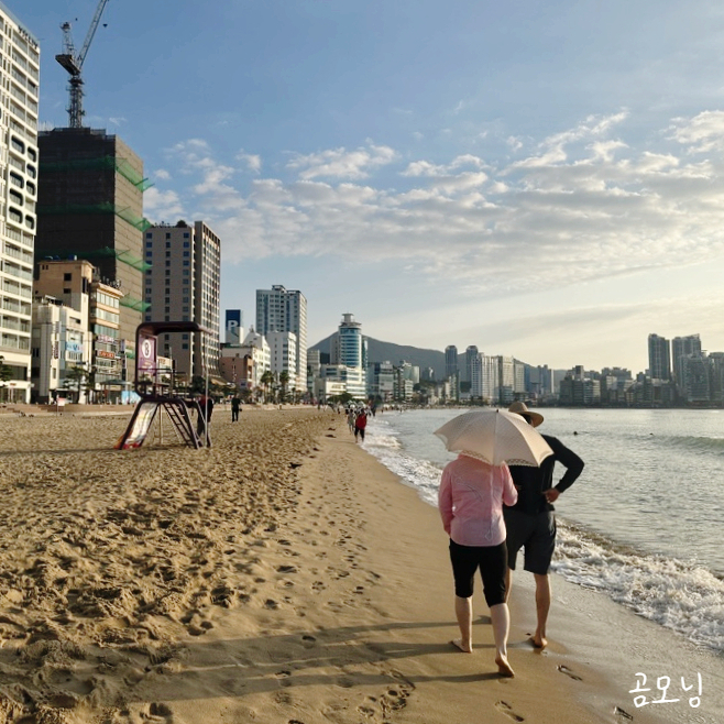  일상:: 1인횟집, 거북이동네, 코스트코 할로윈, 광안리해수욕장 폐장, 전포동 돈까스, 감동란