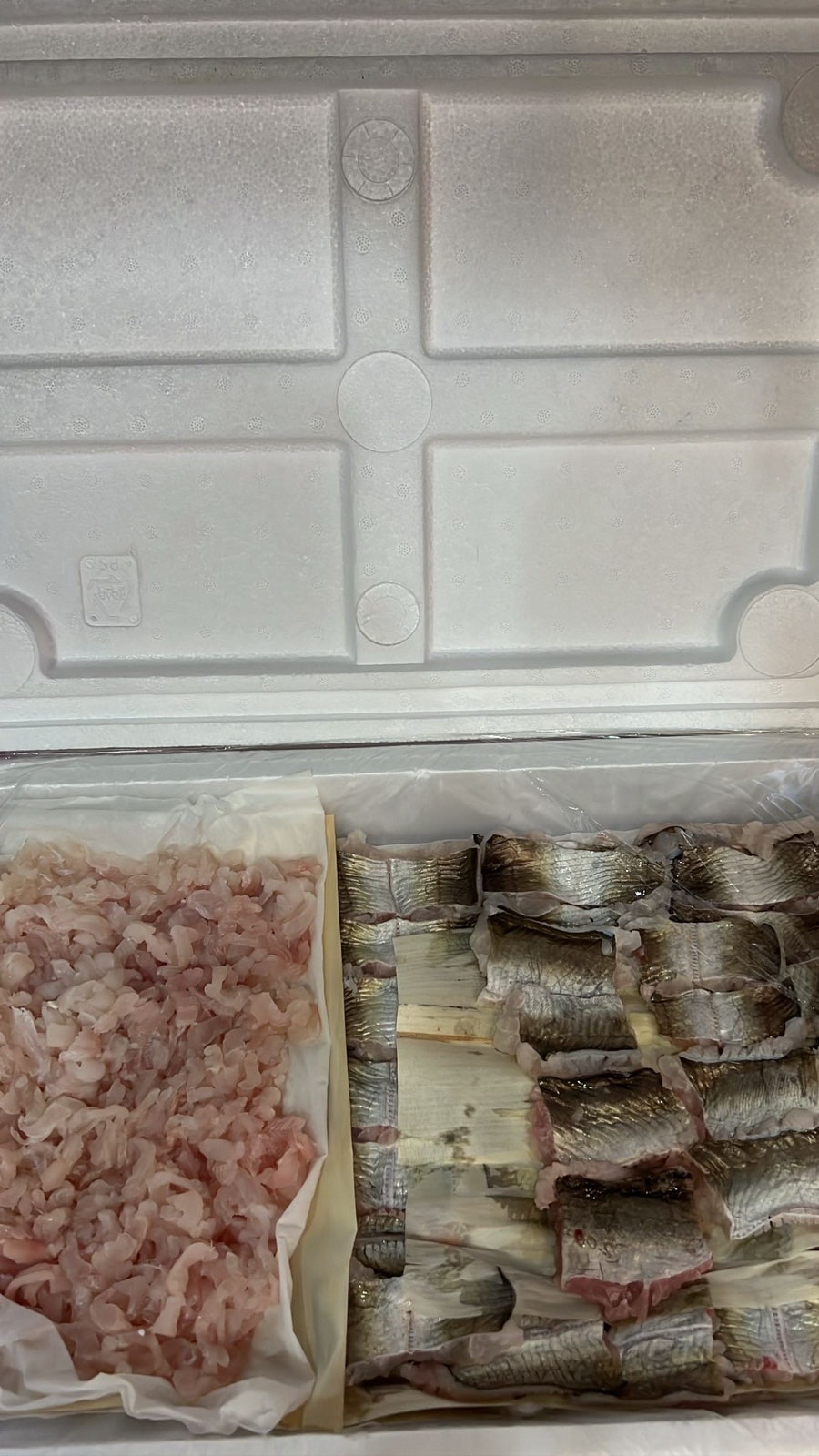 금풍생이 사진 3