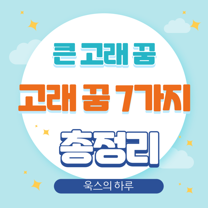큰 고래 꿈, 고래 나오는 꿈해몽 7가지 정리
