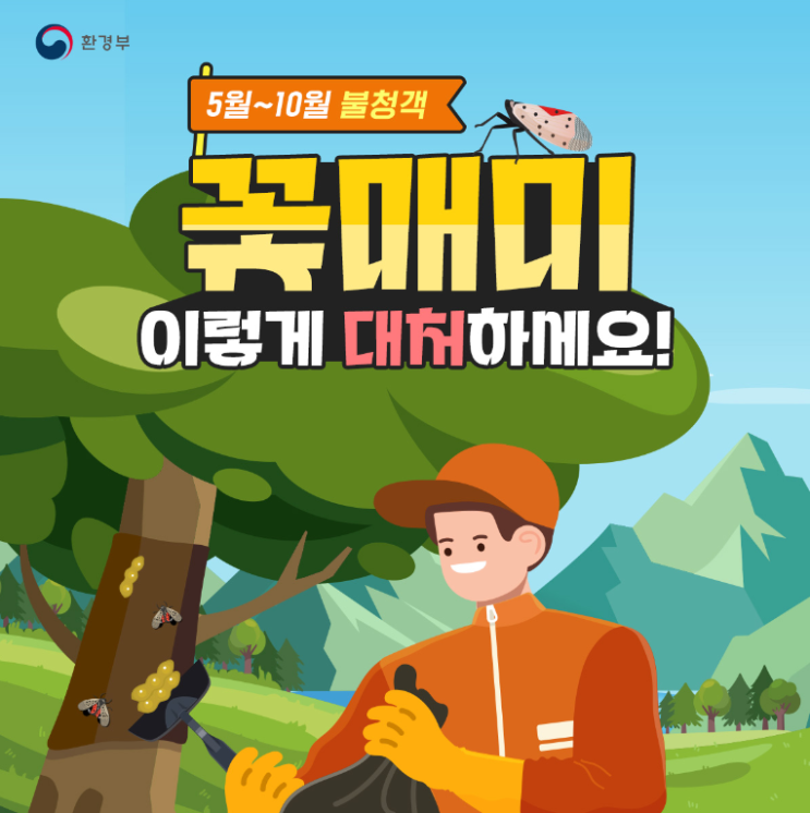  불청객해충 - 꽃매미 이렇게 대처하세요!
