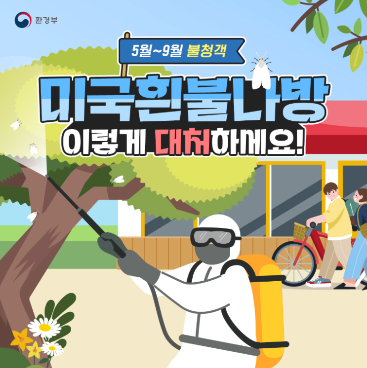  불청객해충 - 미국흰불나방 이렇게 대처하세요!