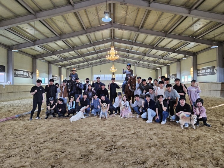  승마의 운동 효과: 승마가 몸과 마음에 주는 이점