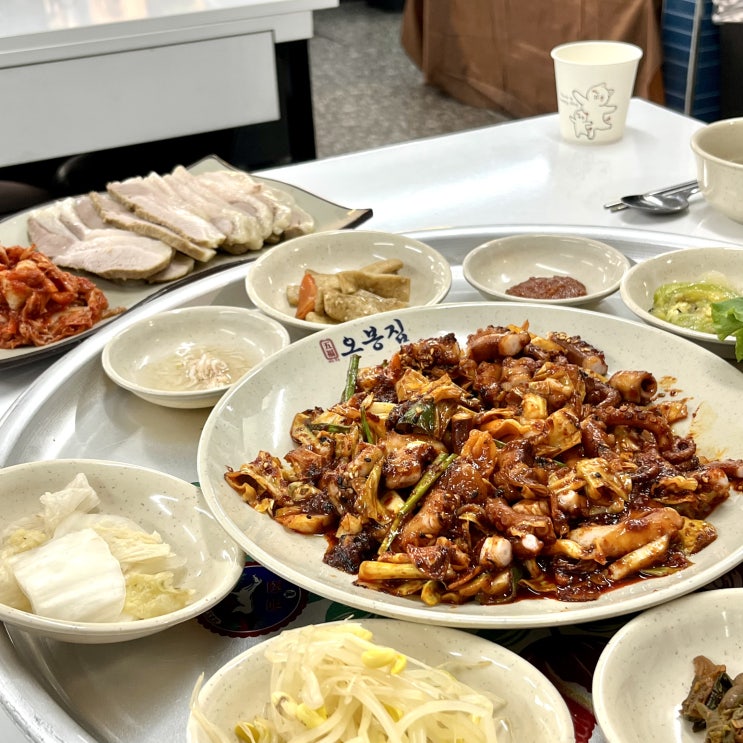  마포구청역 보쌈 낙지 맛집 오봉집 망원점