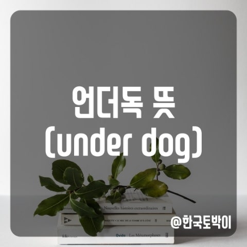  스포츠 탑독 언더독 뜻 (Top dog, Under dog)