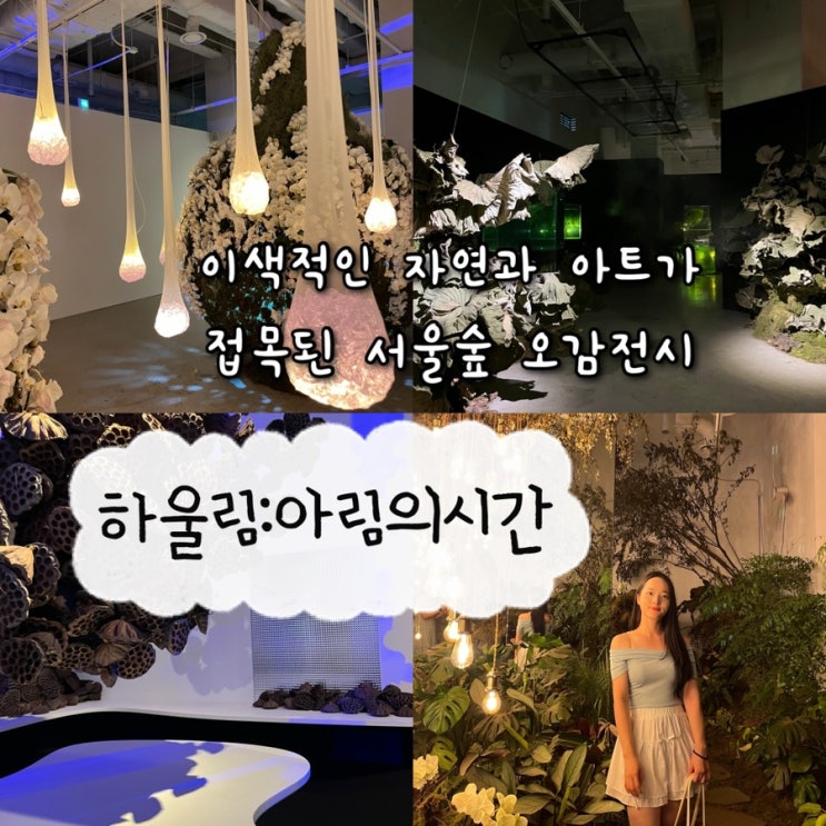  2024 윤하, 팀보타가 함께 선보이는 오감으로 느끼는 신비로운 분위기의 서울숲전시 “하울림: 아림의 시간”