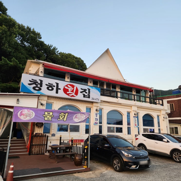 창원 귀산 물회 맛집 청하횟집 창원 귀산 물회 맛집 청하횟집