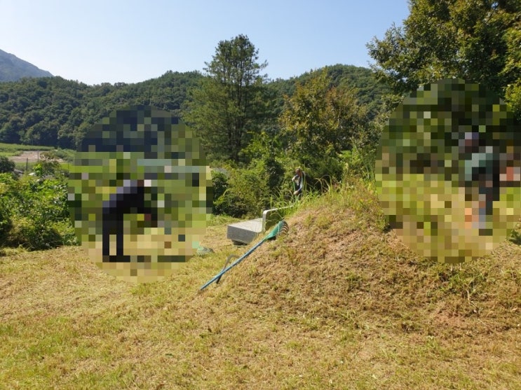  2024년 김천시 대덕면 가례리 벌초대행 고인돌장의사 #김천벌초 #선산벌초 #구미벌초 #황간벌초 #영동벌초 #성주벌초 #상주벌초 #추석벌초 #윤달 #손없는날 #이장