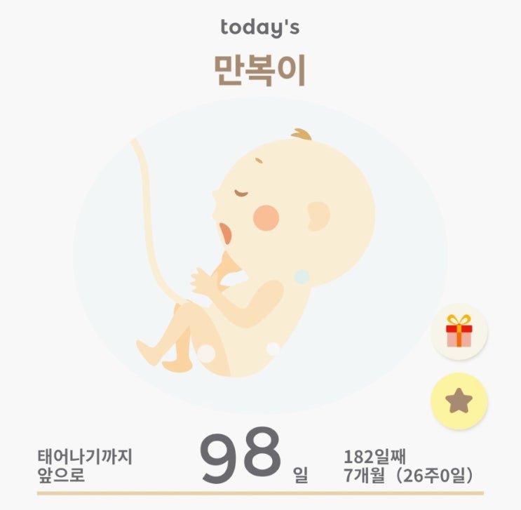  [임신일기] 태동 활발해진 26주 증상, 몸무게, 식단!