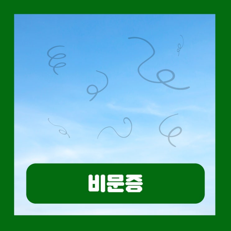  비문증 원인 증상 심해짐 완화 약 없애는법 치료 완치