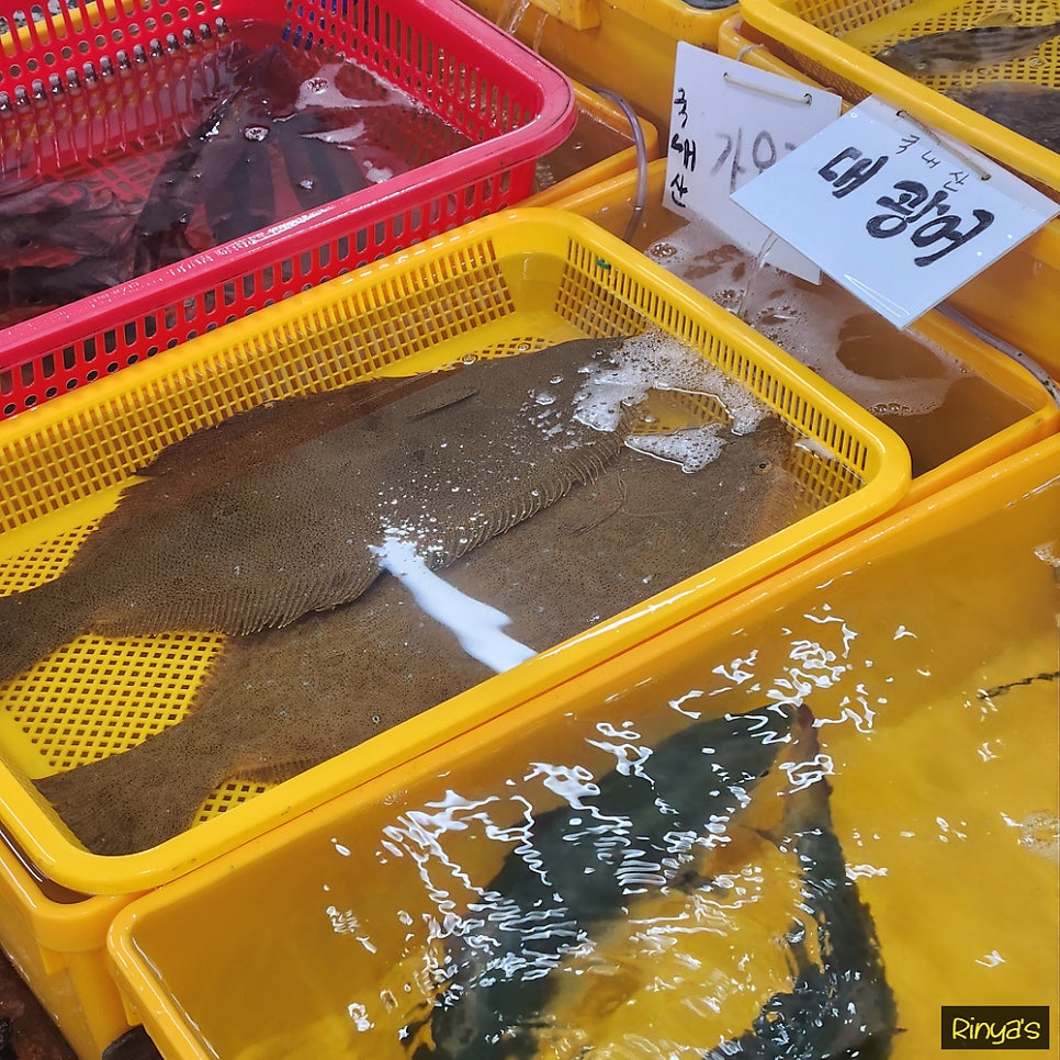 용성초장집 사진 6