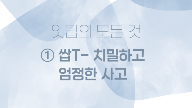  잇팁ISTP 특징 시리즈① 쌉T– 치밀하고 엄정한 사고