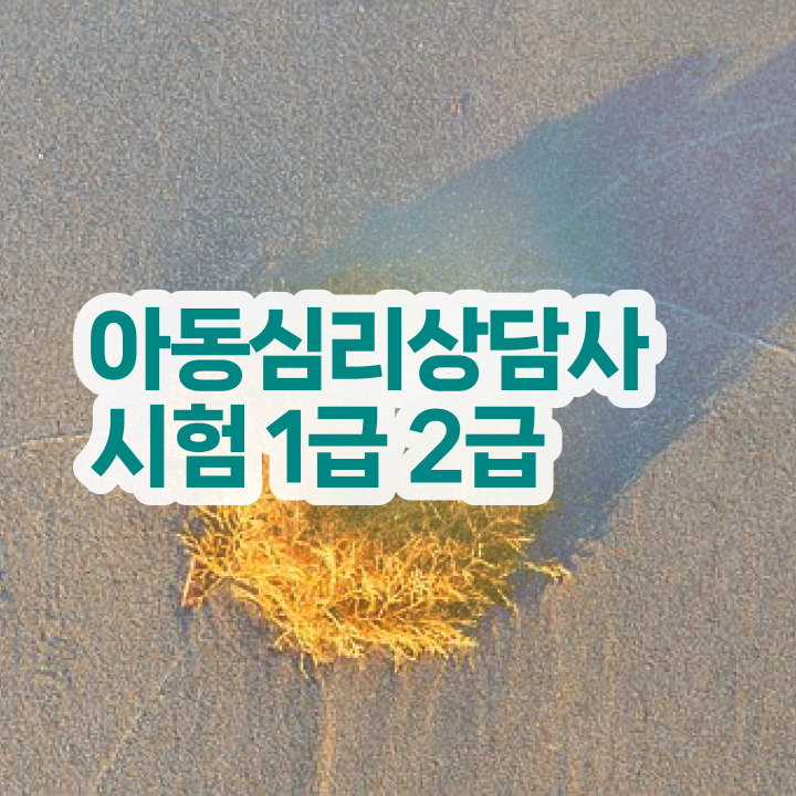  아동심리상담 센터 , 심리상담사 자격증 합격한 비법 소개