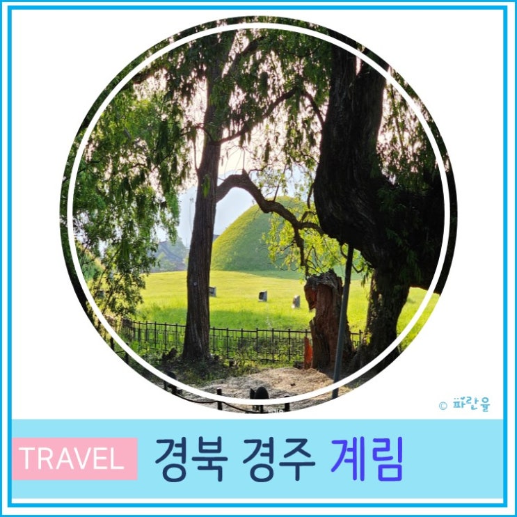  부산 근교 가볼 만한 곳 경주 여행 계림 김알지 탄생 설화
