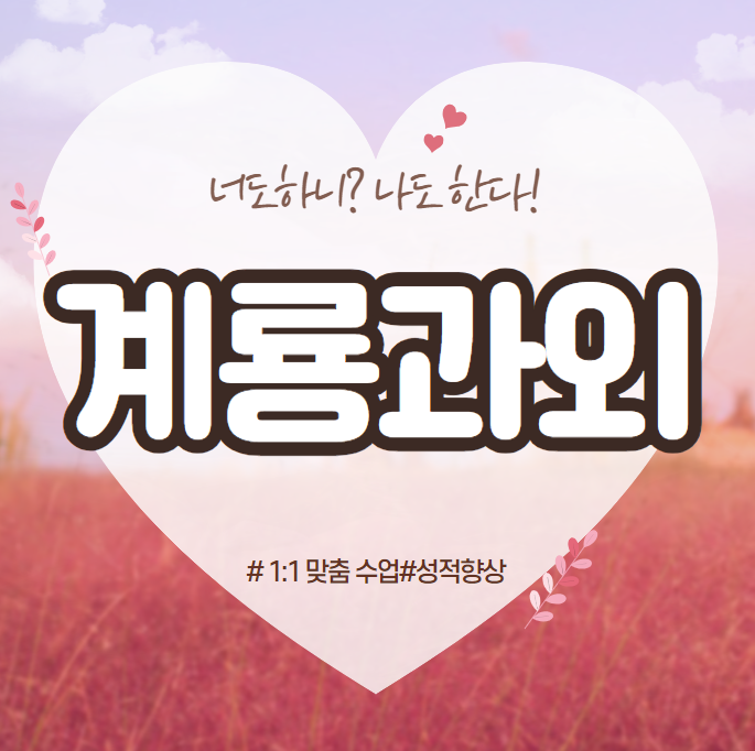  계룡 수학과외 두마면 영어과외 일대일 개인 수업