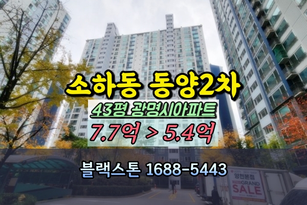  소하동 동양2차 아파트 경매 43평 광명시 부동산