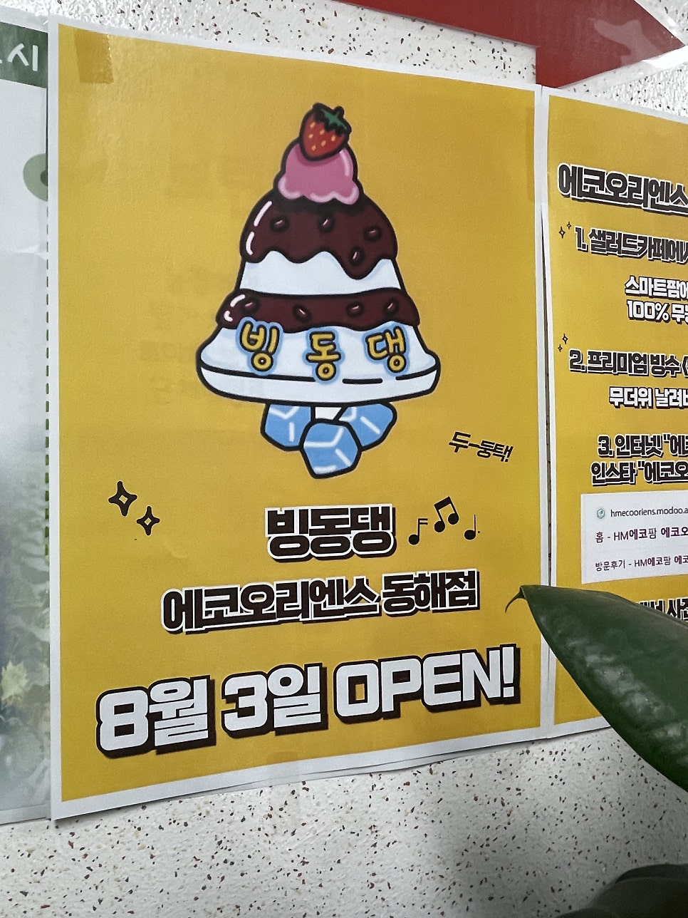 빙동댕에코오리엔스 동해점 사진 1