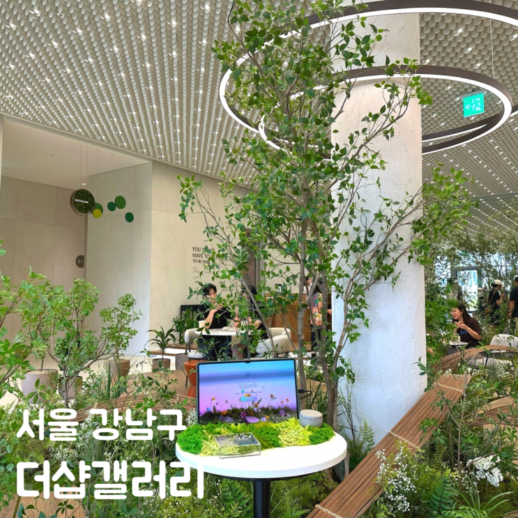  수서 근처 더샵갤러리 예약 테라리움 티코스터 한계없는 질서