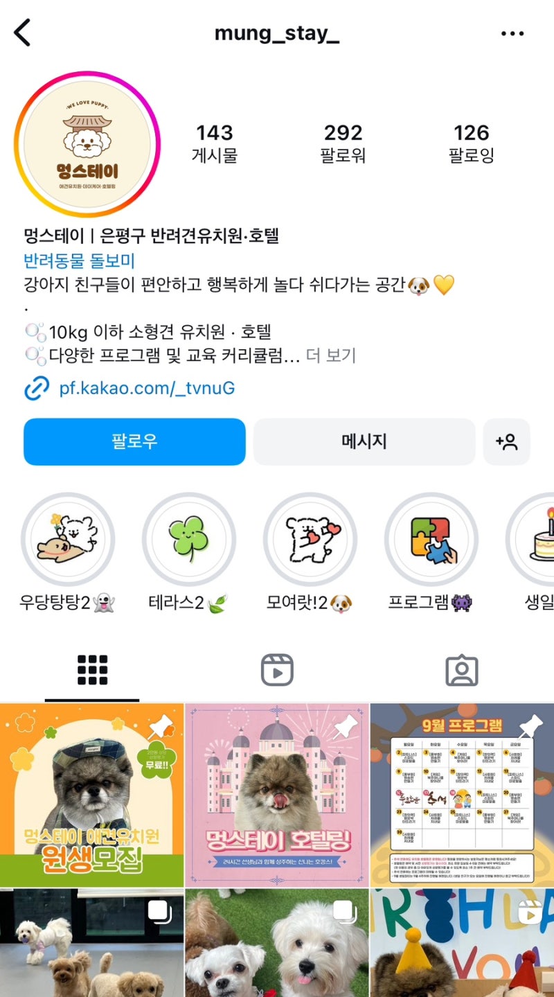 멍스테이 애견유치원