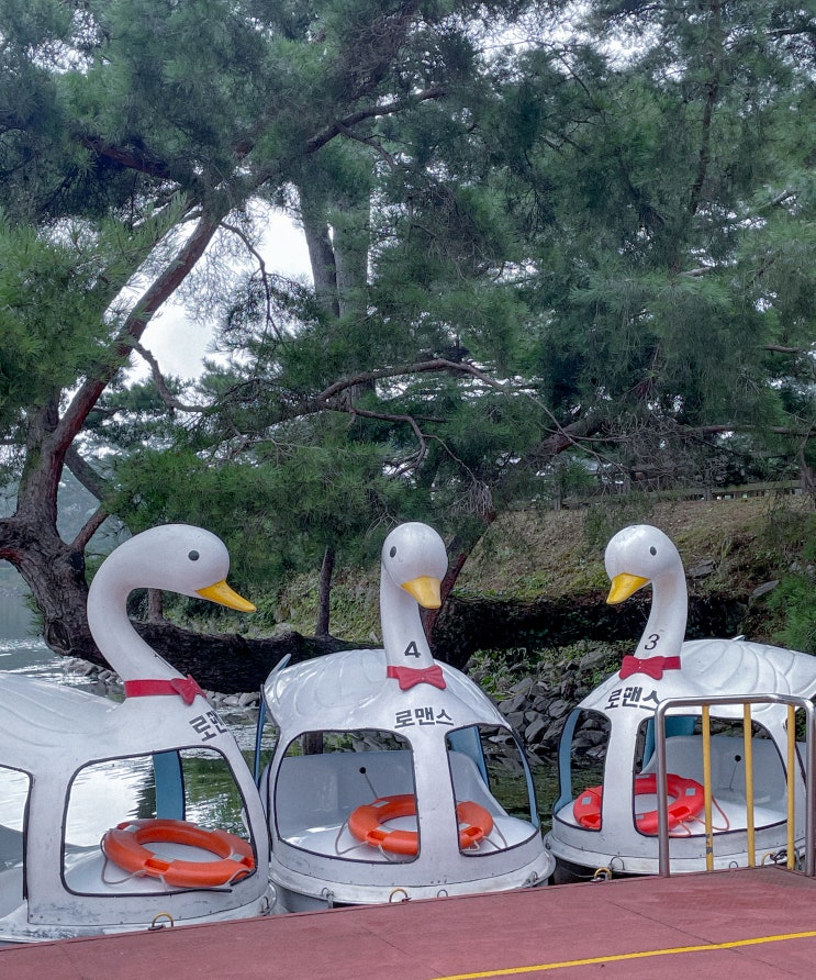  충북 제천 가볼만한곳 의림지 폭포 오리배 볼거리