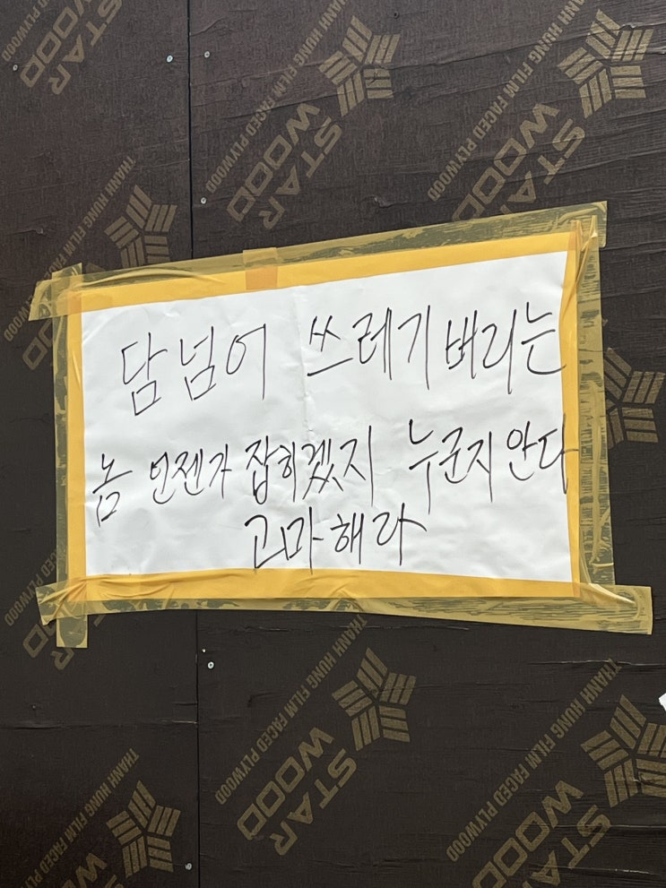  어이 솔태식이 돌아왔구나 : 8월 둘째주 일상