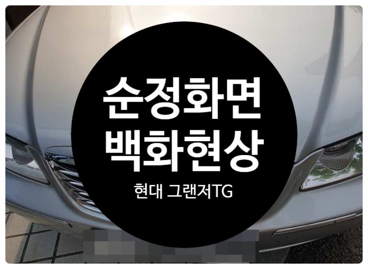  현대 그랜저 TG 후방 화면은 안 나오고 전체적으로 하얗게 나오는 증상 백화현상 수리 완료 전남 목포