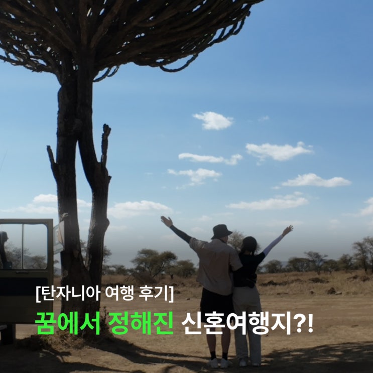  꿈에 나온 대자연의 아름다움을 경험하기 위해 떠난 탄자니아 신혼여행 후기