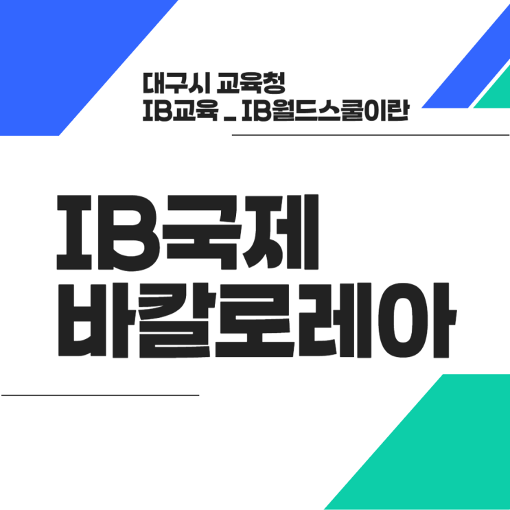 IB<b>국제 바칼로레아</b> (IB<b>월드스쿨</b>)