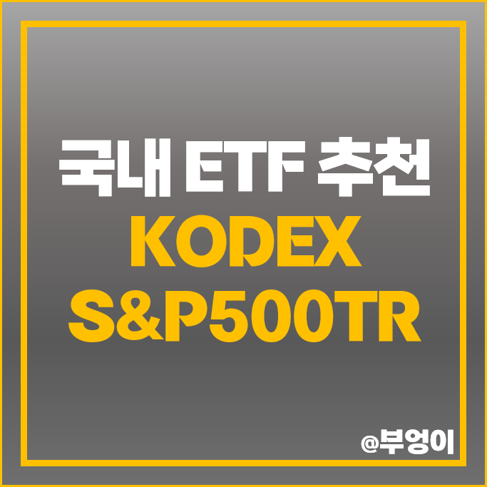 국내 ETF 추천 KODEX S&P500TR 미국 SPLG 원달러 환율 적용 국내 ETF 추천 KODEX S&P500TR 미국 SPLG 원달러 환율 적용