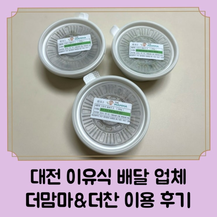  대전 수제 이유식 및 유아 반찬 배달 가게 추천 2편 / 더맘마&더찬 내돈내산 이용 후기