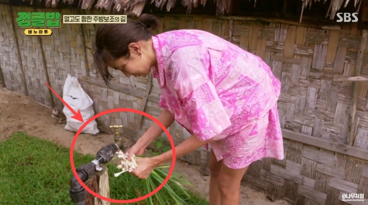 <b>정글밥</b> <b>유이</b>, 미친듯이 욕먹는 이유?! 류수영도 경악한 장면보니