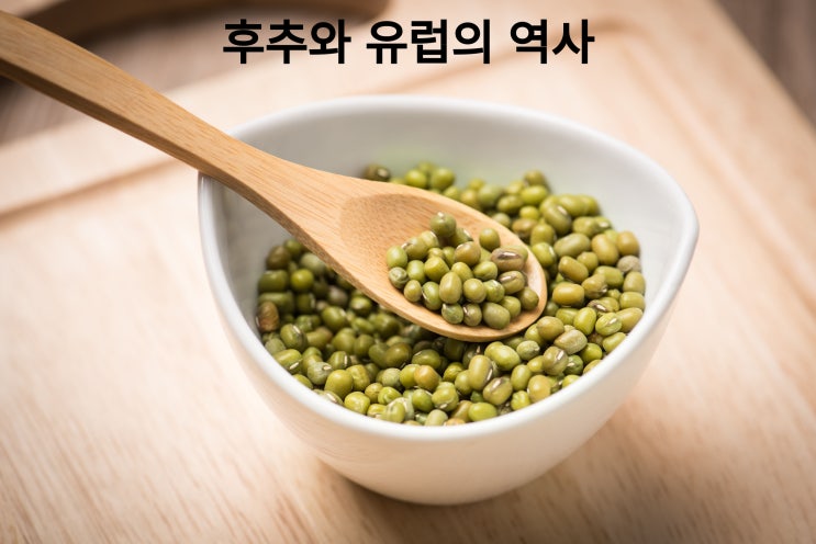  유럽 역사와 후추 이야기~~ 후추는 유럽에 어떤 의미가 있을까?