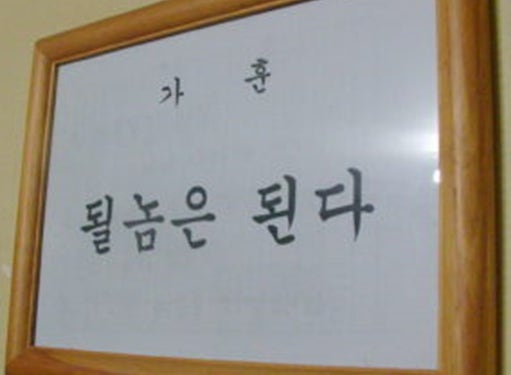  상록수 가을 식재 참고 사항정리