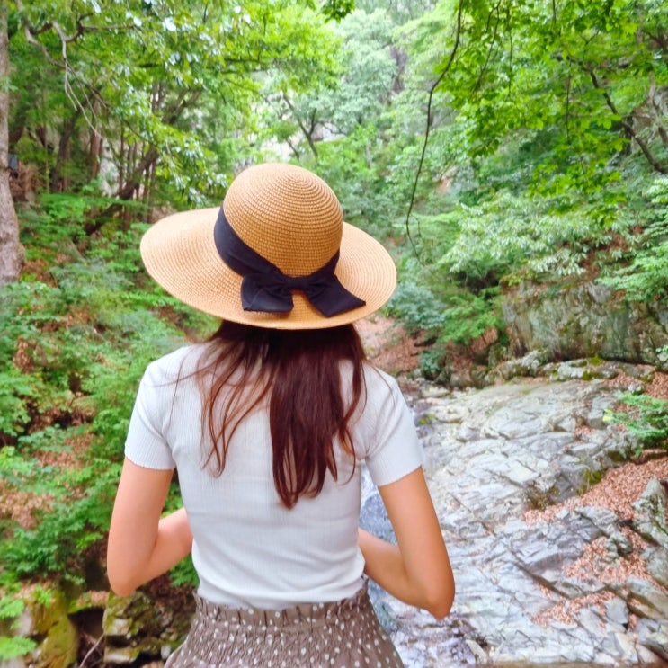  양산 홍룡사 홍룡폭포 천성산 계곡 사찰 경남 드라이브 코스