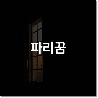 파리꿈 어떤 뜻을 가지고 있을까