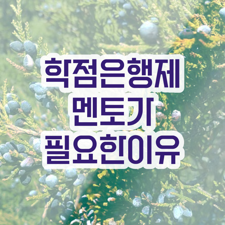  학점은행제학사 학위 , 전문학습멘토 이 부분만 검토해 보세요