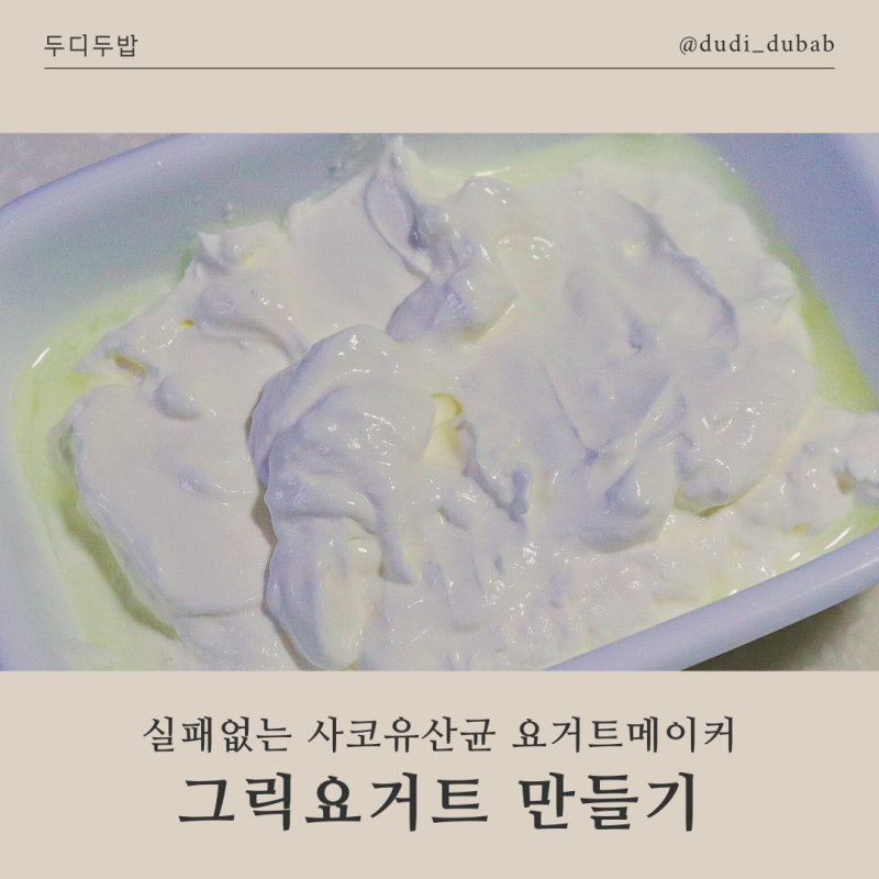 사코유산균 요거트메이커 그릭요거트 만드는 쉬운 방법