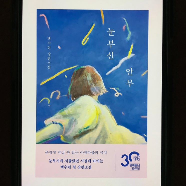  한국 문학의 한계, 눈부신 안부 (백수린) 독서 후기 (결말 포함)