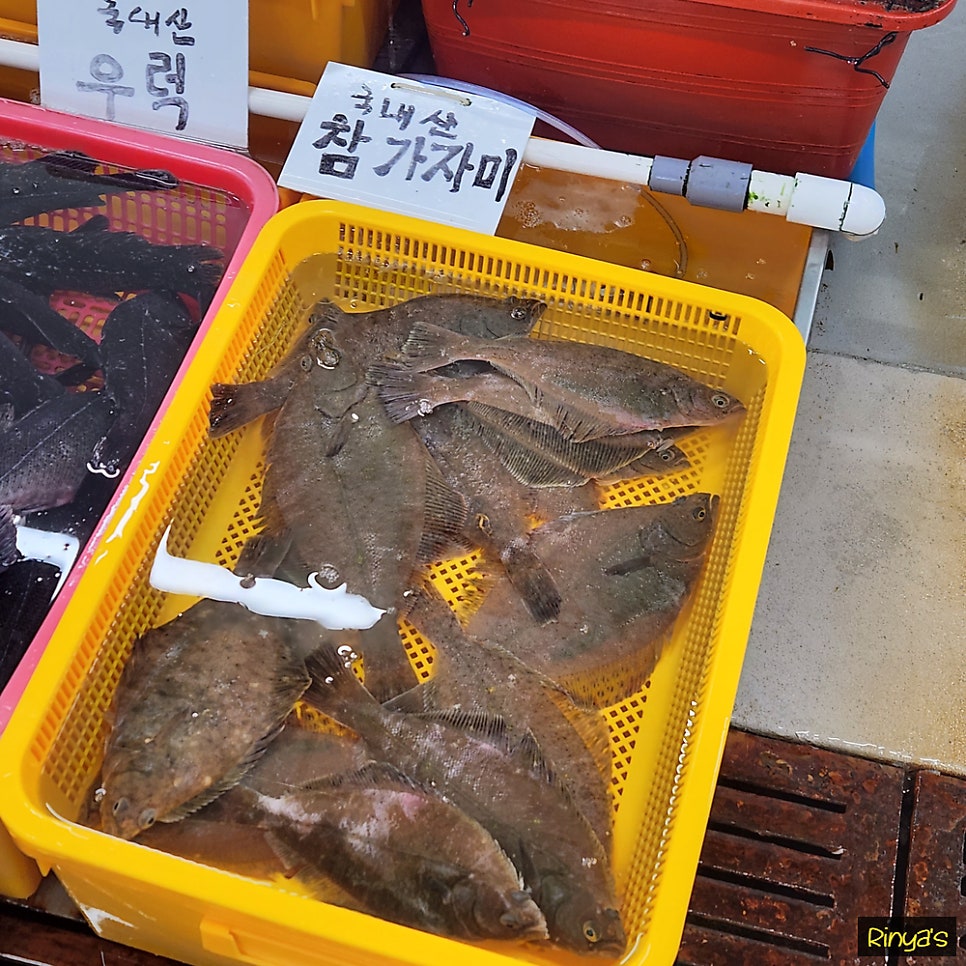 용성초장집 사진 3