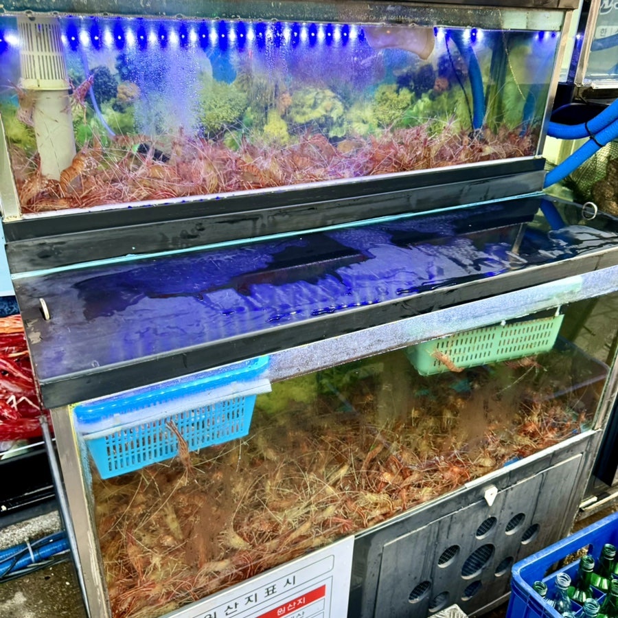 동해세꼬시 서울대점 사진 3