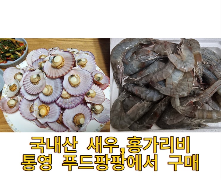  통영 푸드팡팡 국내산새우,국내산가리비 저렴하게 먹는방법!!