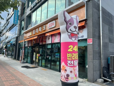 사진 2